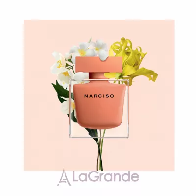 Narciso Rodriguez Narciso Eau de Parfum Ambree  