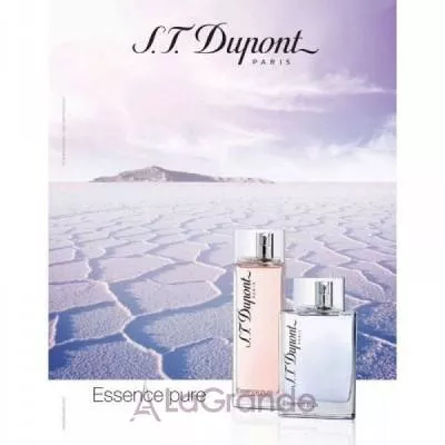 Dupont Essence Pure Femme  