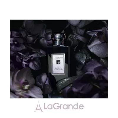 Jo Malone Dark Amber and Ginger Lily Cologne Intense 