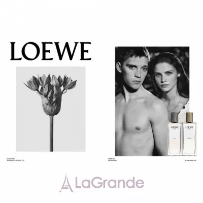 Loewe 001 Man Eau de Parfum   ()