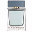 Dolce & Gabbana The One Gentleman   ()
