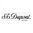 Dupont Intense pour Homme  
