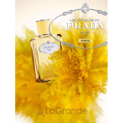 infusion mimosa prada