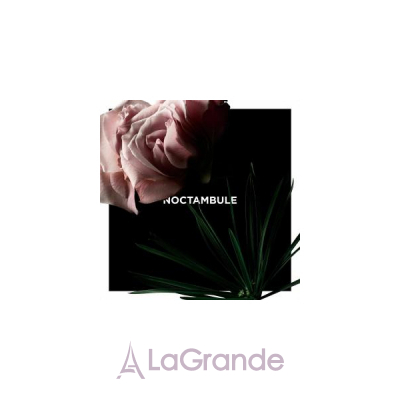 Givenchy Noctambule - Парфюмированная вода купить оригинальную парфюмерию в  