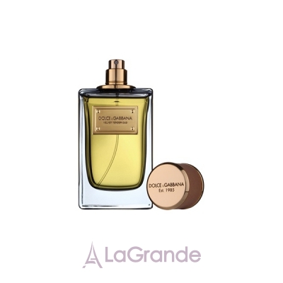 dolce gabbana tender oud