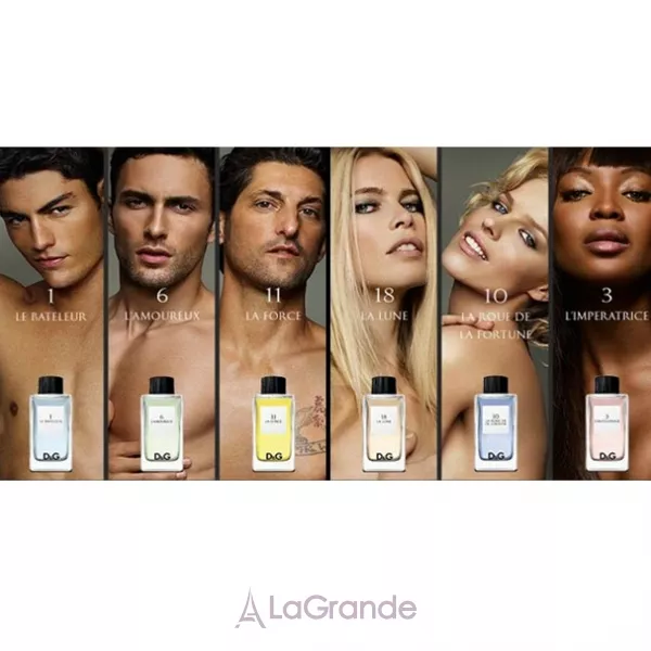 Dolce & Gabbana Anthology La Lune 18 �������� ���� (������)