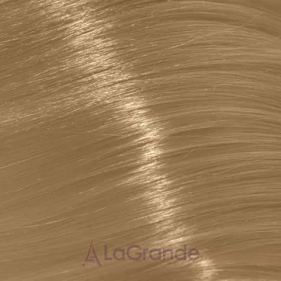 Trend Toujours Color ����-������ ��� �����