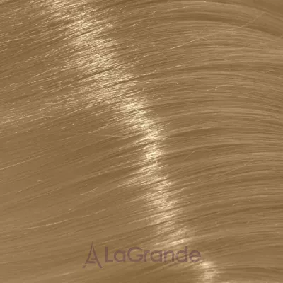 Trend Toujours Color ����-������ ��� �����