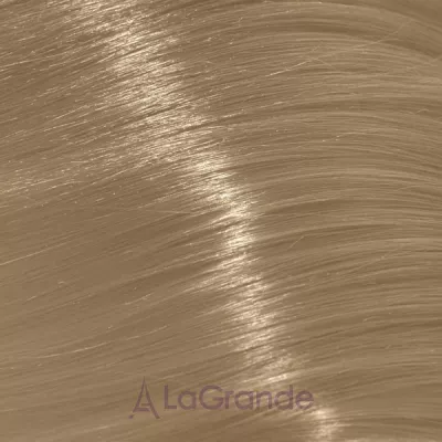 Trend Toujours Color ����-������ ��� �����