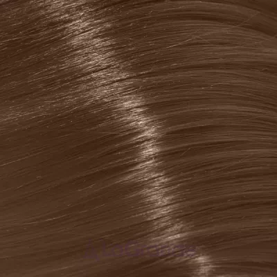 Trend Toujours Color ����-������ ��� �����