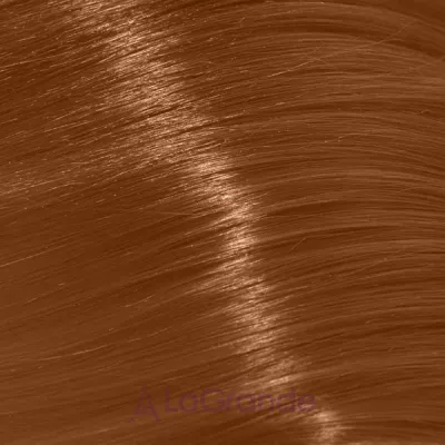 Trend Toujours Color ����-������ ��� �����