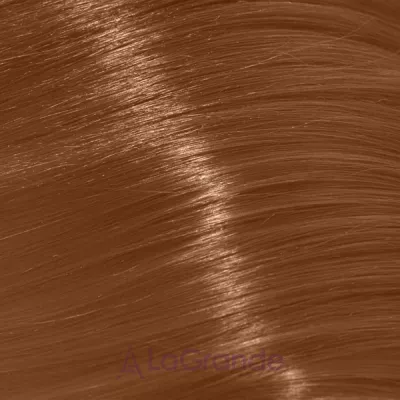 Trend Toujours Color ����-������ ��� �����