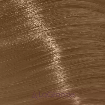 Trend Toujours Color ����-������ ��� �����