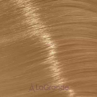 Trend Toujours Color ����-������ ��� �����