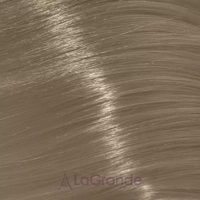 Trend Toujours Color ����-������ ��� �����