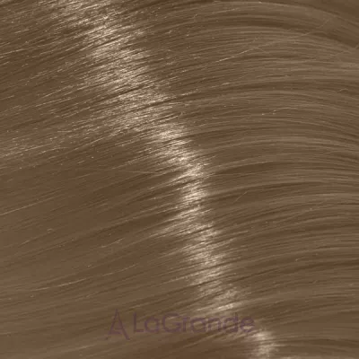 Trend Toujours Color ����-������ ��� �����