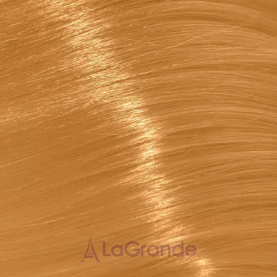 Trend Toujours Color ����-������ ��� �����