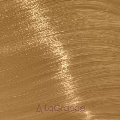 Trend Toujours Color ����-������ ��� �����