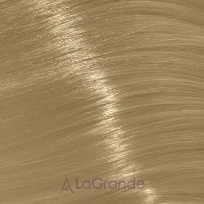 Trend Toujours Color ����-������ ��� �����