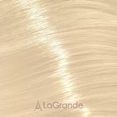 Trend Toujours Color ����-������ ��� �����