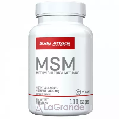 Body Attack MSM �������� ���������� ������� MSM