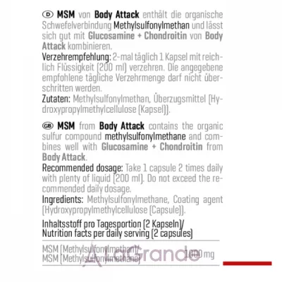 Body Attack MSM �������� ���������� ������� MSM