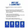 Ronnie Coleman L-Carnitine XS 3000 Wild Cherry ������� ������� L-�������� 3000 