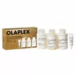 Olaplex The Greatest Strength Set ����� ��� �������, ������� � �������� �����