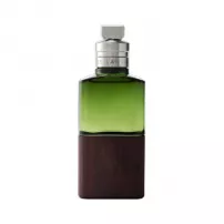 Dries Van Noten Bois Defendu ����������� ���� (������)