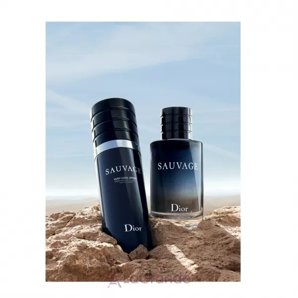Christian Dior Sauvage Very Cool Spray �������� ����