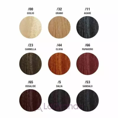 Previa Earth Powder Infusion ������-����� � ������������� ����������