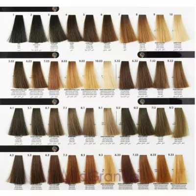 KayPro iColori Hair Color Cream ����-����� ��� �������