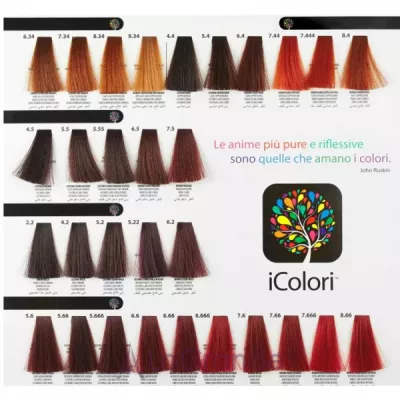 KayPro iColori Hair Color Cream ����-����� ��� �������