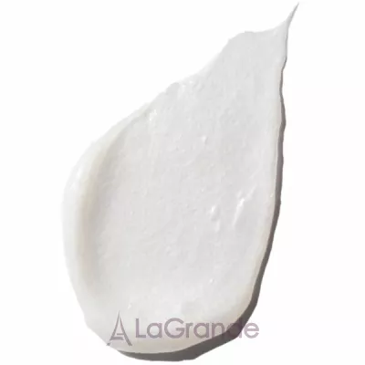 Previa Direct Colour Mask �����-����� ����� 䳿