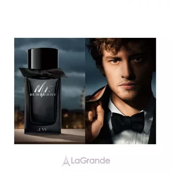 Burberry Mr. Burberry Eau de Parfum ����������� ���� (������)