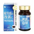 Fine Japan Coenzyme Q10 90pcs
