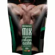 Power Pro Protein Power MIX Alpine Rhapsody 1000g