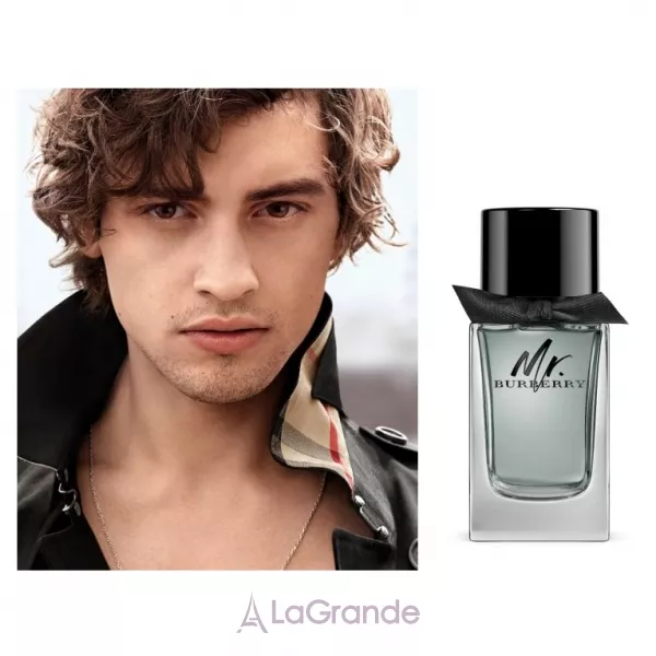 Burberry Mr. Burberry Eau de Parfum ����������� ����