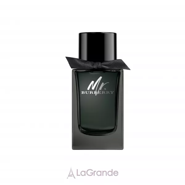 Burberry Mr. Burberry Eau de Parfum ����������� ����