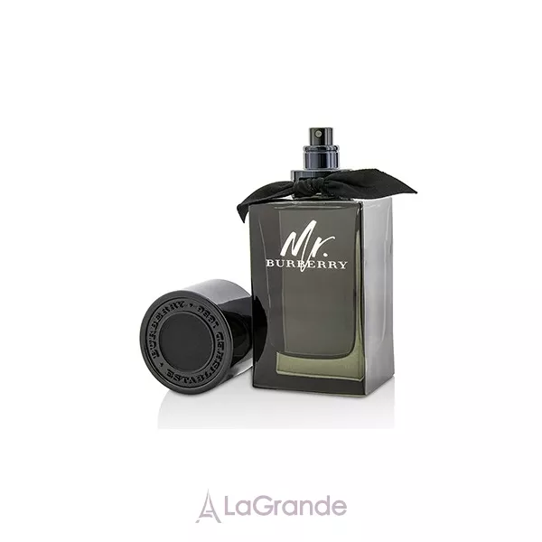Burberry Mr. Burberry Eau de Parfum ����������� ����