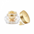 Recoreserum Recore Serum DDS Richness WT Capsule Plus 48pcs