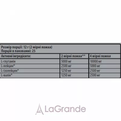 Sporter Micronized BCAA + L-Glutamine Orange ����������� ̳����������� BCAA + L-������� 