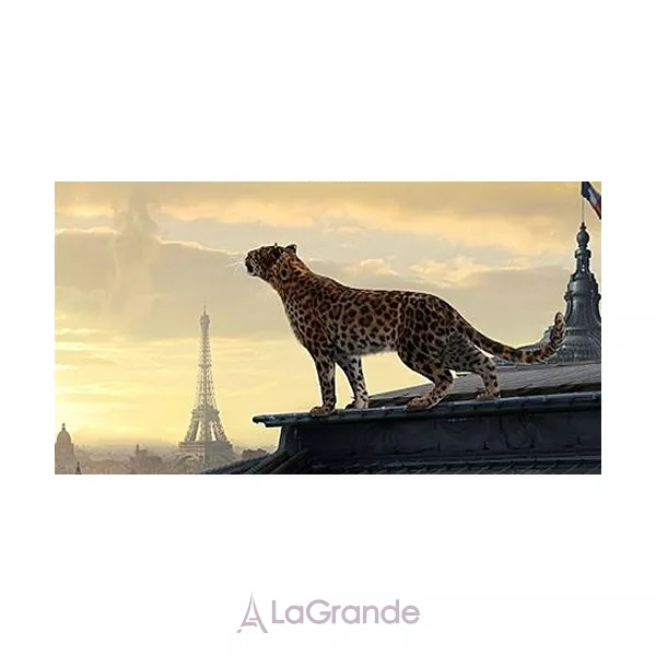 Cartier Panthere de Cartier ��������� ���� (������)