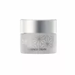 Spa Treatment Essence Cream 30g