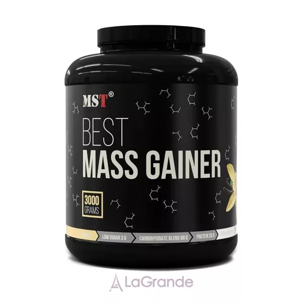 MST Best Mass Gainer Vanilla ������ 