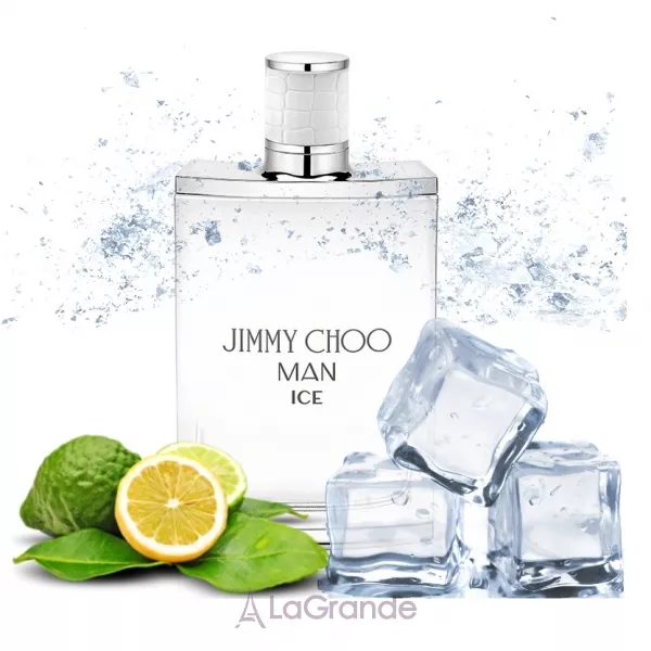 Jimmy Choo Man Ice ��������� ���� (������)