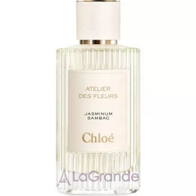 Chloe Atelier Des Fleurs Jasminum Sambac ��������������� ����