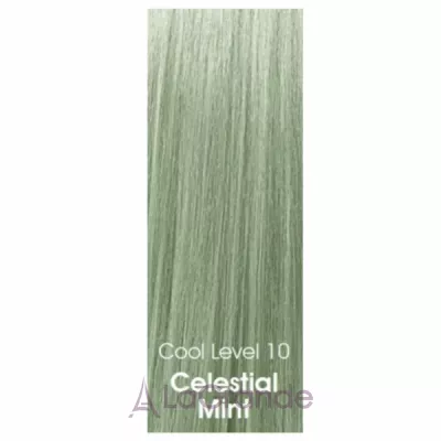 CHI Tone & Gloss Ammonia-Free Demi-Permanent Cream Toner �������� ����� ��� �����