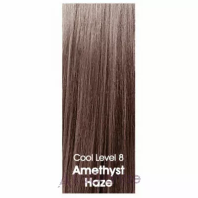 CHI Tone & Gloss Ammonia-Free Demi-Permanent Cream Toner �������� ����� ��� �����