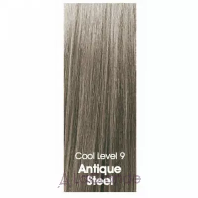 CHI Tone & Gloss Ammonia-Free Demi-Permanent Cream Toner �������� ����� ��� �����